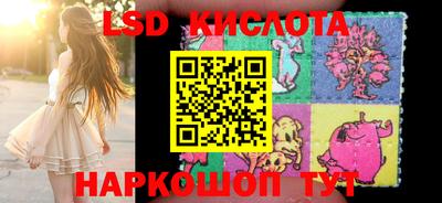эйфоретик Донской