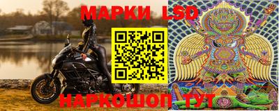 МДПВ Добрянка