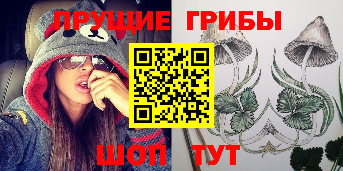Псилоцибиновые грибы мицелий Менделеевск